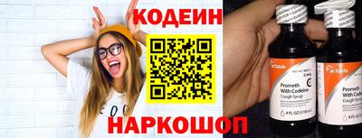 мдпв Бийск