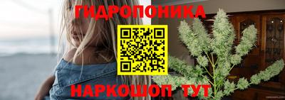 каннабис Берёзовский