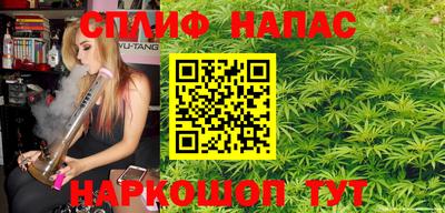 мдпв Бийск