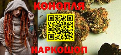 мдпв Бийск