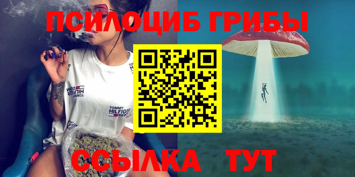 Галлюциногенные грибы Psilocybe  Вход с VPN  Будённовск 
