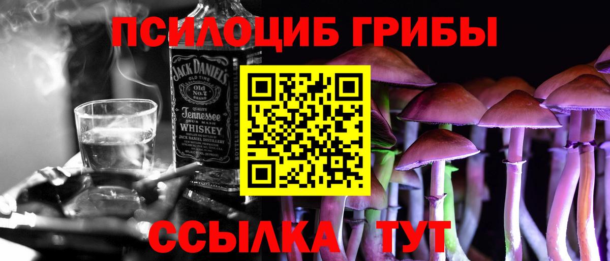 Галлюциногенные грибы Cubensis Будённовск