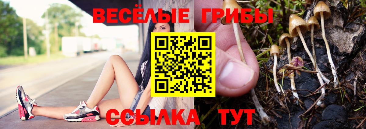 Галлюциногенные грибы Cubensis  Будённовск  Псилоцибиновые грибы Psilocybe 